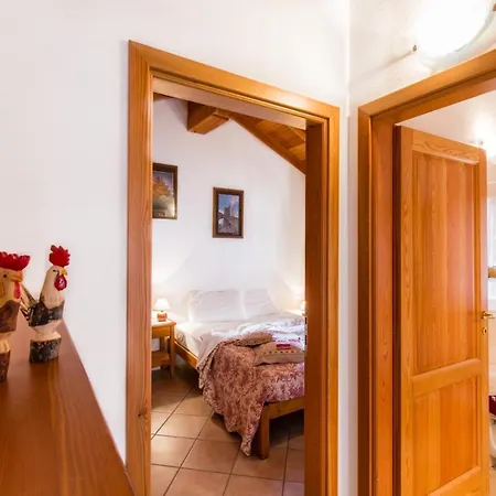 Lou Rose 팜스테이 도나즈