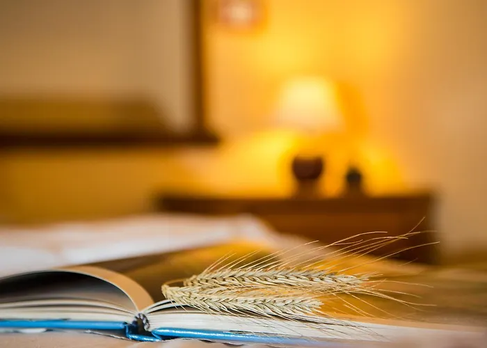 Lou Rose Farm stay Donnaz