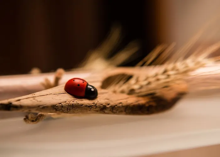 Lou Rose Farm stay *